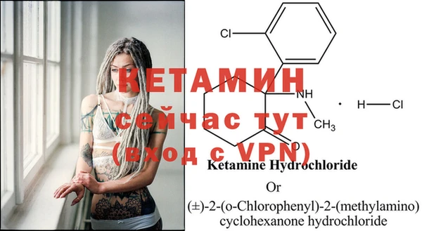 стафф Бородино