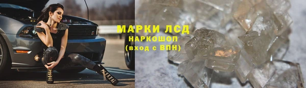 стафф Бородино