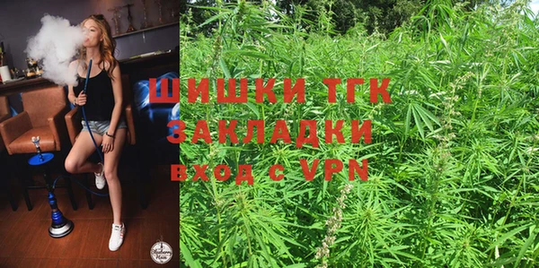 стафф Бородино