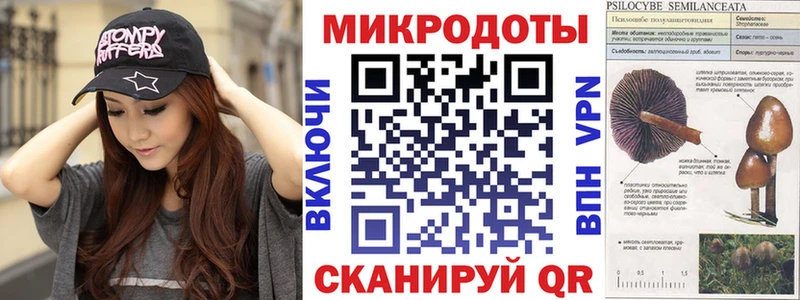 Галлюциногенные грибы Psilocybine cubensis  Купить где  Губкинский 